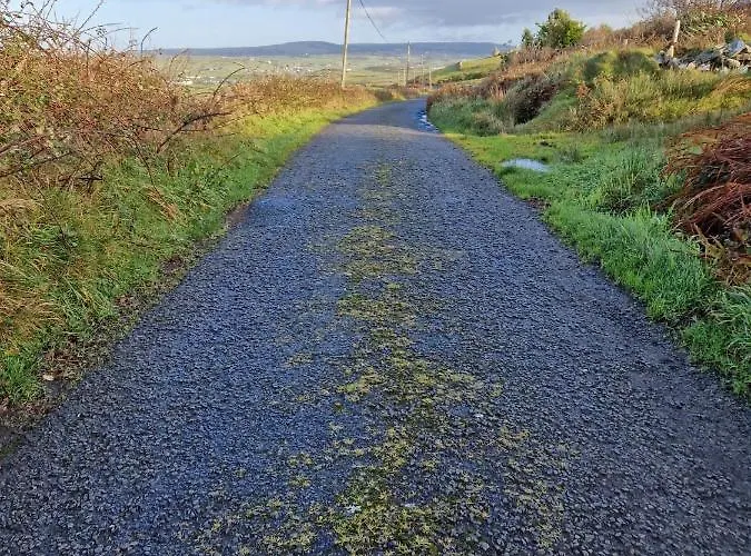 The Cliffs Of Moher House, *